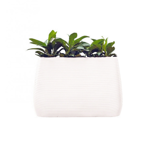 MYYOUR Pandora Planter / Ice Box