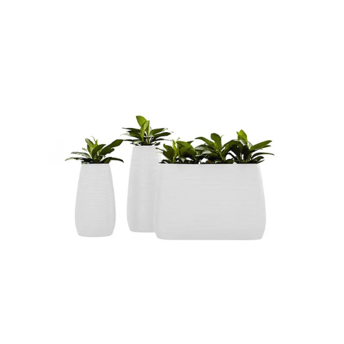 MYYOUR Pandora Planter / Ice Box